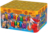 Новогодние цветы Фейерверк купить в Знаменске | znamensk.salutsklad.ru