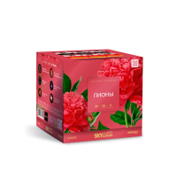 Пионы Салют купить в Знаменске | znamensk.salutsklad.ru