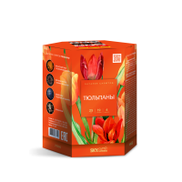 Тюльпаны Салют купить в Знаменске | znamensk.salutsklad.ru