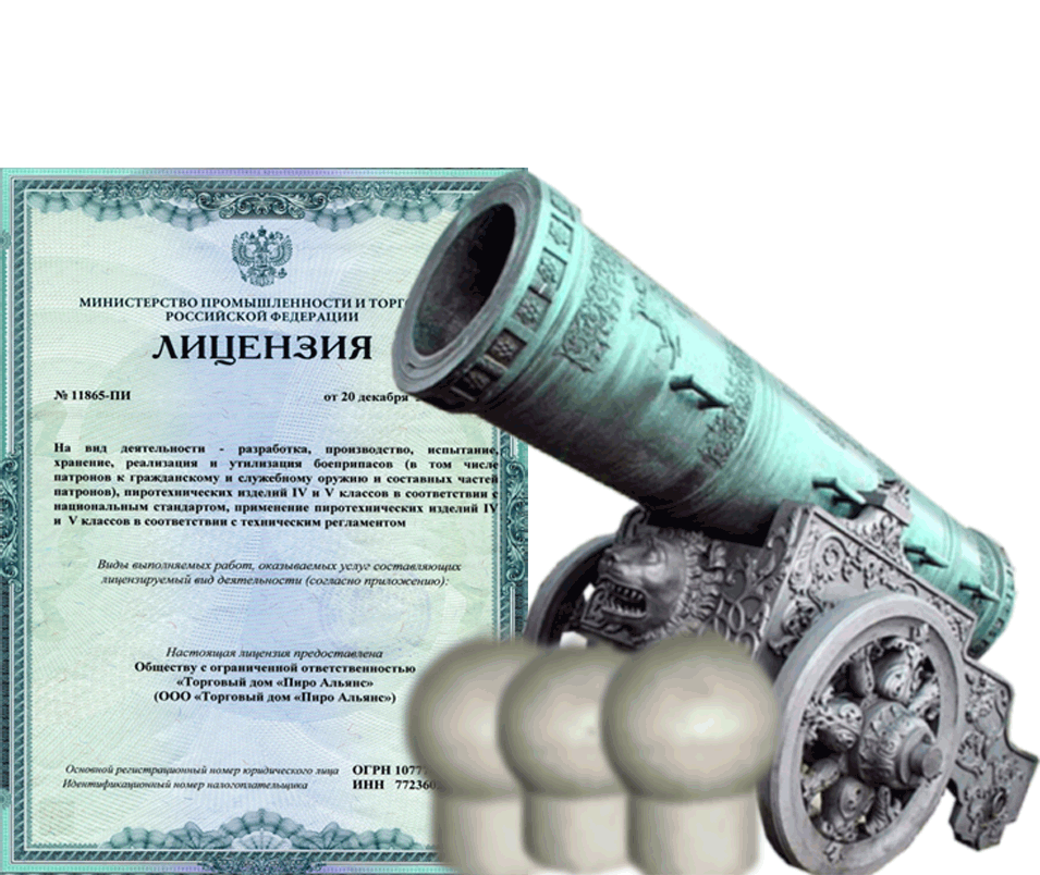 Заказать фейерверк на Новый Год - салют в Знаменске