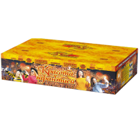 Красота с гарантией Фейерверк купить в Знаменске | znamensk.salutsklad.ru