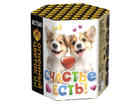 Счастье есть! Салют купить в Знаменске | znamensk.salutsklad.ru