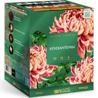 Хризантемы Фейерверк купить в Знаменске | znamensk.salutsklad.ru