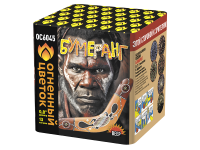 Бумеранг Батарея салютов купить в Знаменске | znamensk.salutsklad.ru