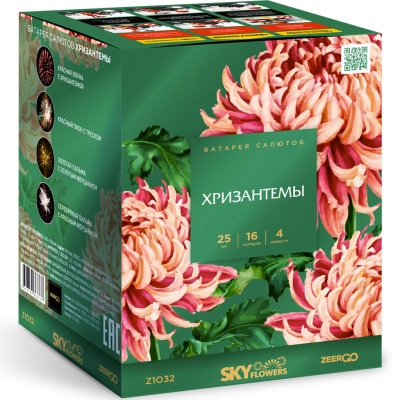 Хризантемы Фейерверк купить в Знаменске | znamensk.salutsklad.ru