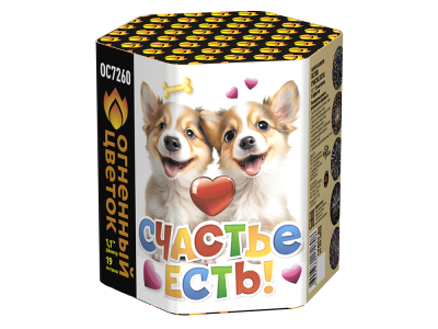 Счастье есть! Салют купить в Знаменске | znamensk.salutsklad.ru