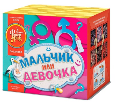 Мальчик или девочка М Фейерверк купить в Знаменске | znamensk.salutsklad.ru